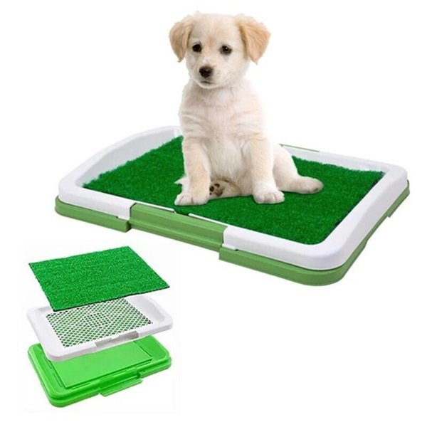 Εκπαιδευτική Τουαλέτα Σκύλου 46580398