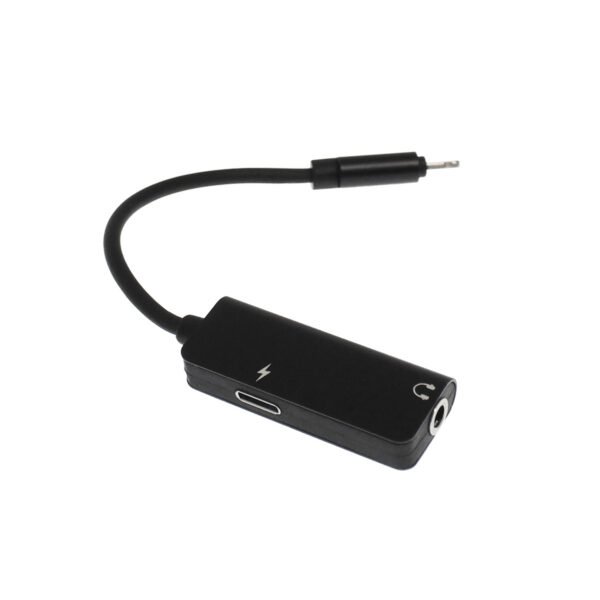 Awei CL-121 Μετατροπέας Lightning male σε 3.5mm / Lightning female
