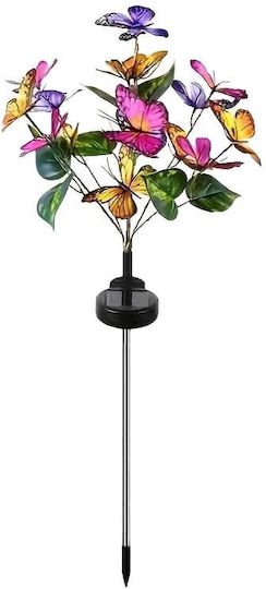 xlarge_20240826111921_set_2_iliaka_fotistika_ts04384