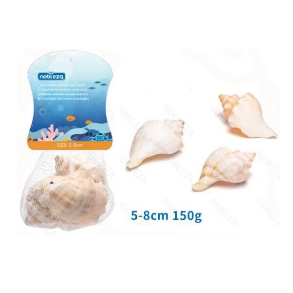 xlarge_20240930165252_diakosmitiko_enydreiou_kochylia_8cm_150g_nobleza_818213_nobleza Διακοσμητικό Ενυδρείου Κοχύλια 8cm 150g Nobleza 818213 - Nobleza