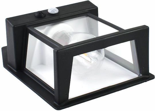 xlarge_20230919144943_0aa0546b