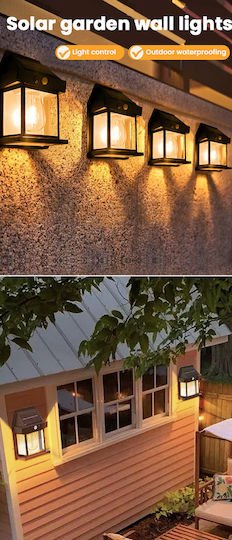 xlarge_20230919144946_26f03233