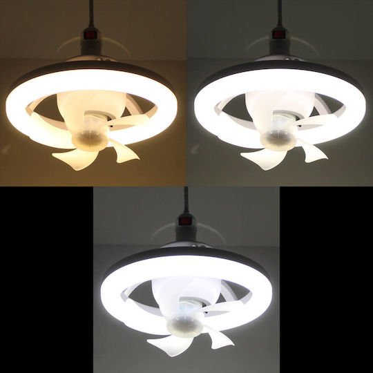 xlarge_20250617102555_ed33bd74