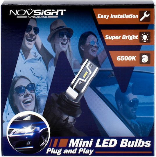 xlarge_20250626103743_0feee1b4