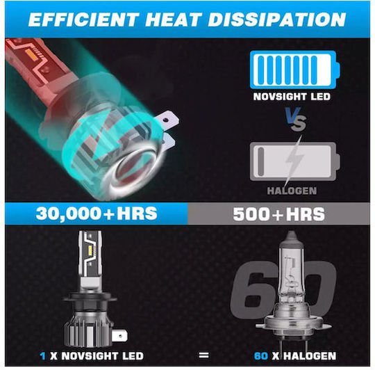 xlarge_20250626103746_8d3c56f9