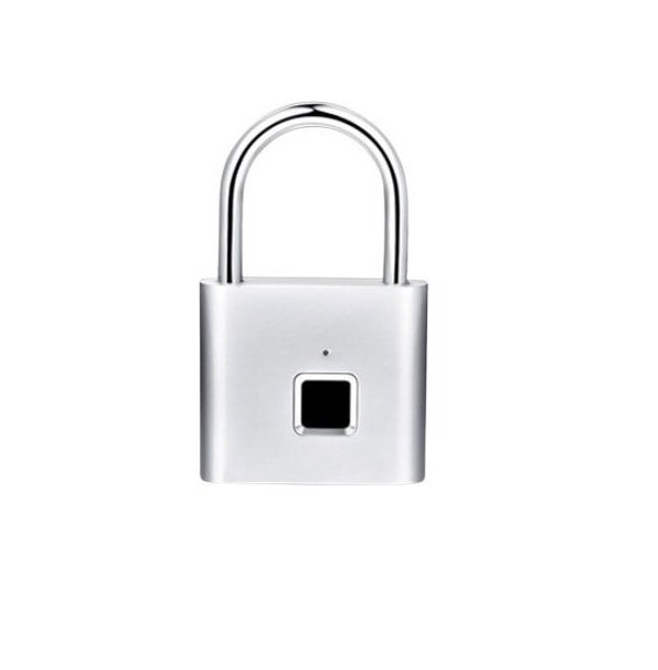 xlarge_20250627133153_louketo_petalo_me_daktyliko_apotypoma_asimi_11189