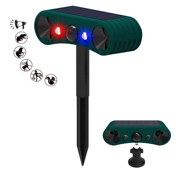 xlarge_20250702125223_passalos_apothisis_gaton_troktikon_iliakos_kln_602358