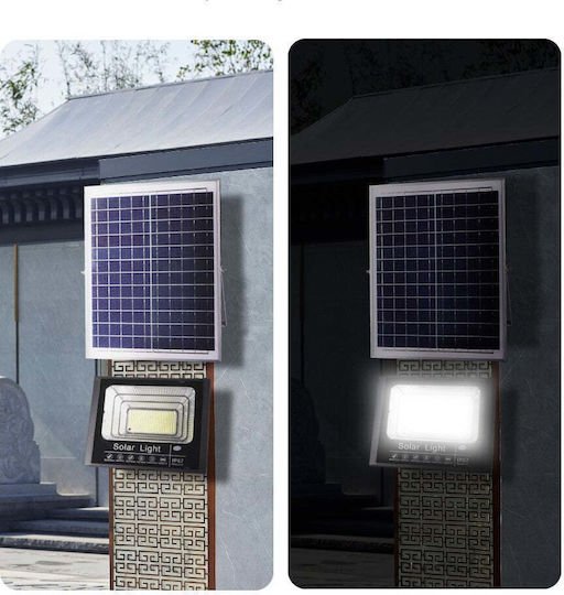 xlarge_20240812140734_1e5d8bd4