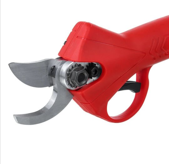 xlarge_20220131161131_25f576eb