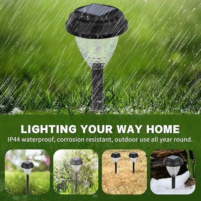 81uA-8pVdJL._AC_SX679_