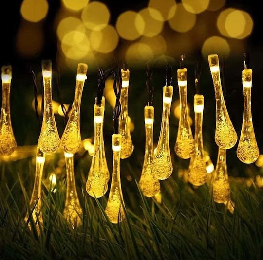 xlarge_20241106111708_56921dbf