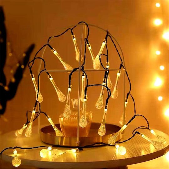 xlarge_20241106111714_f13bff6f