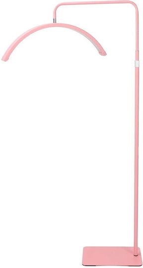 xlarge_20250120170447_b55b2ab6