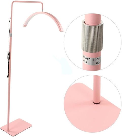 xlarge_20250120170448_1751f4c1