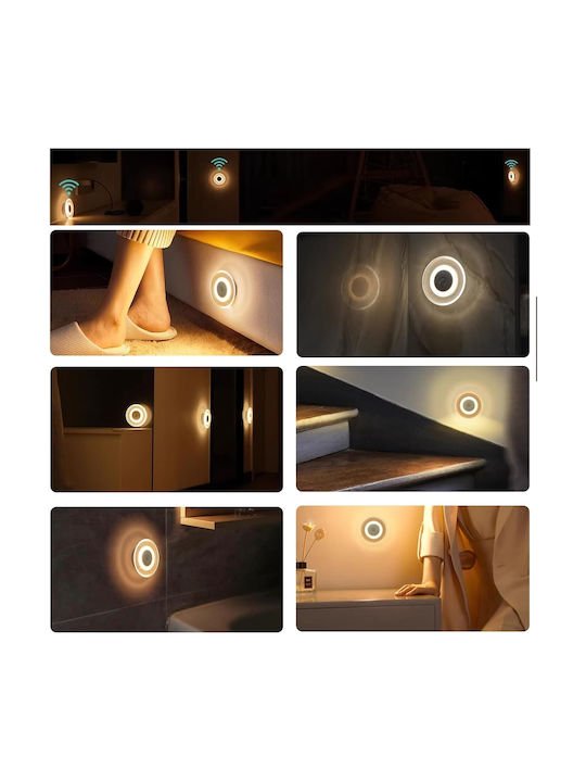 fixedratio_20251015105459_427fe542