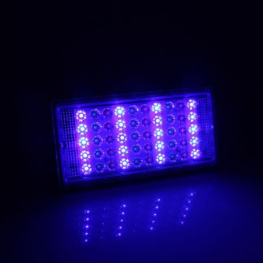 xlarge_20230908140652_62265be2