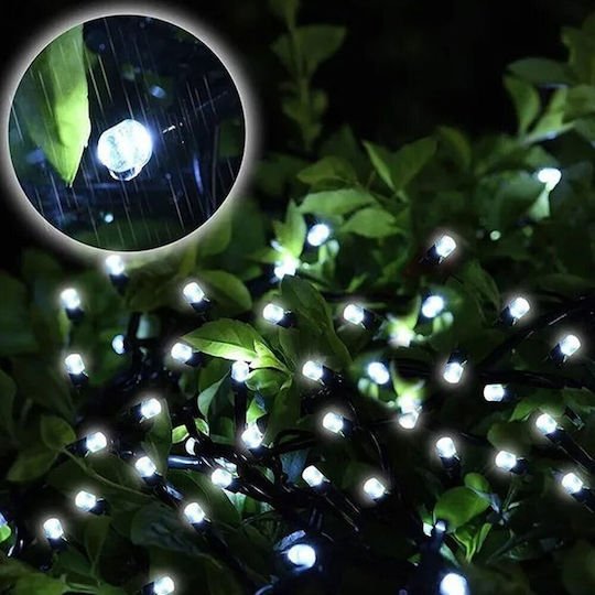 xlarge_20230921132749_34ee5102