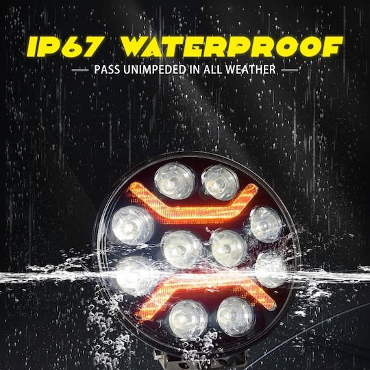 xlarge_20250321144714_13cc6b64