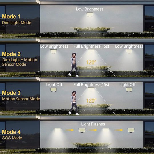 xlarge_20250602103137_4a47cfc1