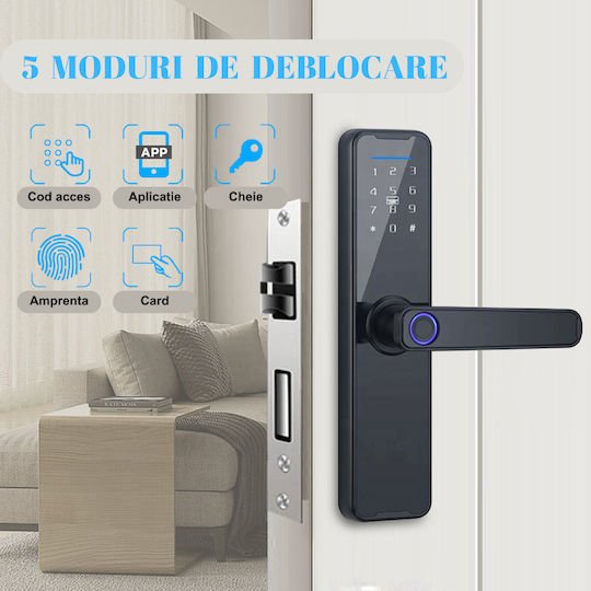 xlarge_20240620104718_aa0612b8