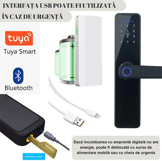 xlarge_20240620104720_e377250d