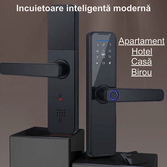 xlarge_20240620104725_645fb7bd