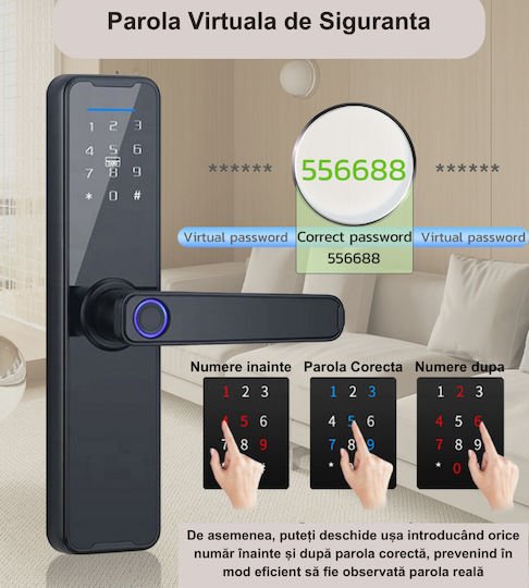 xlarge_20240620104731_474bca4e