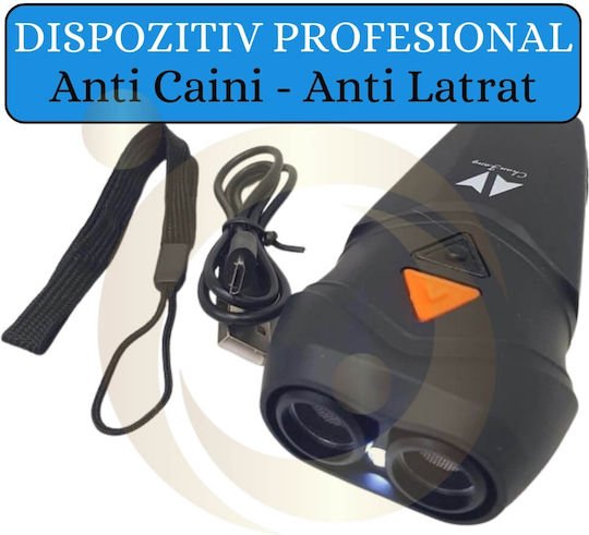 xlarge_20241210095511_4591dee6