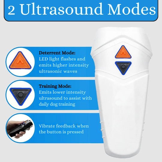 xlarge_20241210095522_c6c49d86