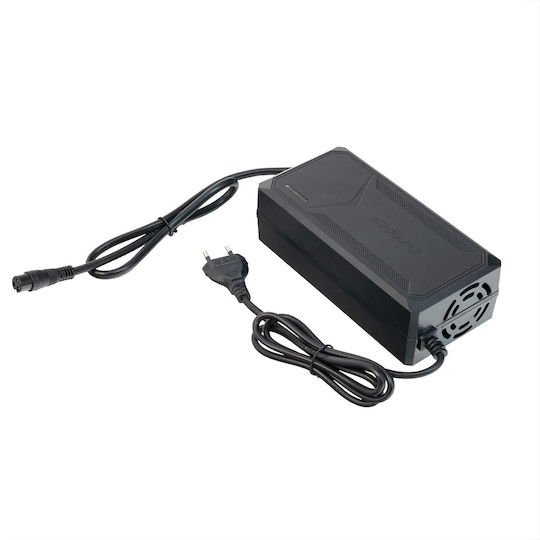 xlarge_20251208162723_38c7b761