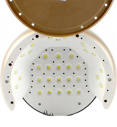 xlarge_20210126143514_1f5b4330