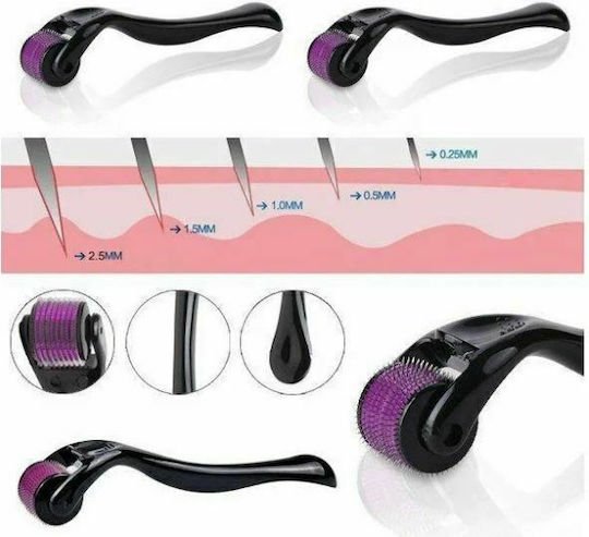 xlarge_20220630121210_c6c606b4