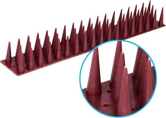 xlarge_20250912140155_593018b0