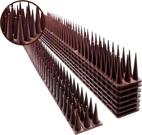 xlarge_20250912140207_c5eb29f3