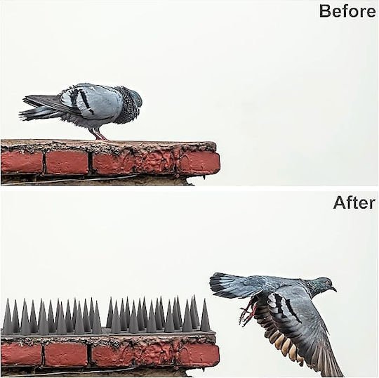 xlarge_20250912140213_5da2128f