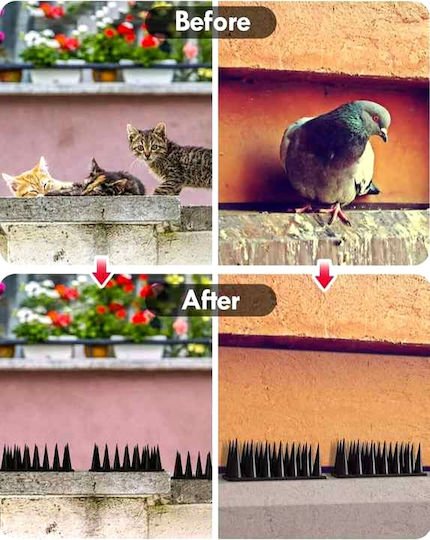 xlarge_20250912140217_f008aac4