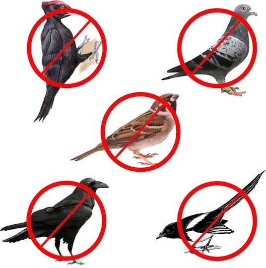 xlarge_20250912140229_564ae193