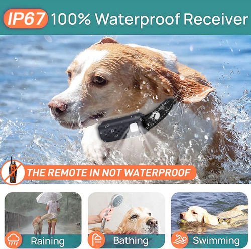 xlarge_20250919150321_72955edd