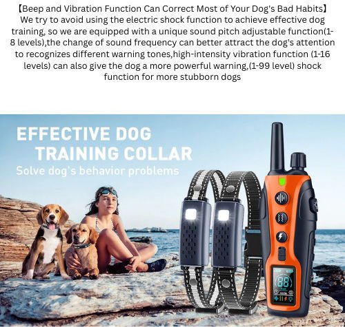 xlarge_20250919150321_af577264