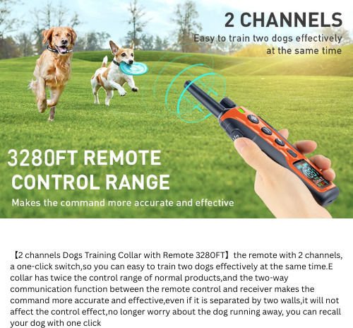 xlarge_20250919150321_e4ee4442