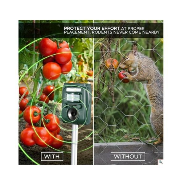 pasalos_apothisis_troktikon_3