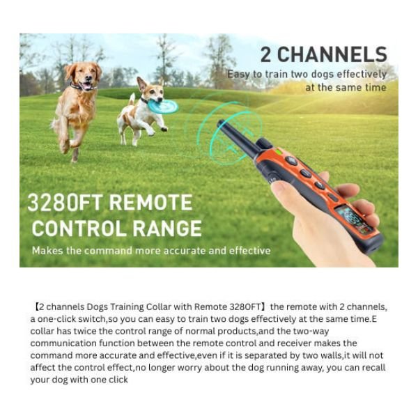 ilektriko_kolaro_skulou_3