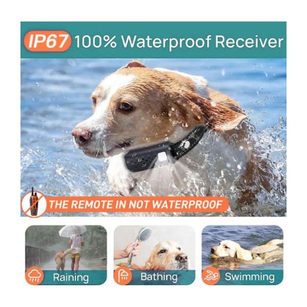 ilektriko_kolaro_skulou_4